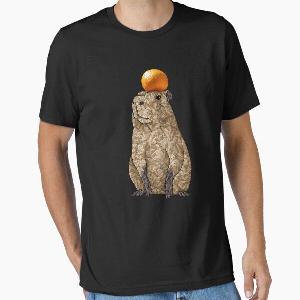 capibara w orange , geometric