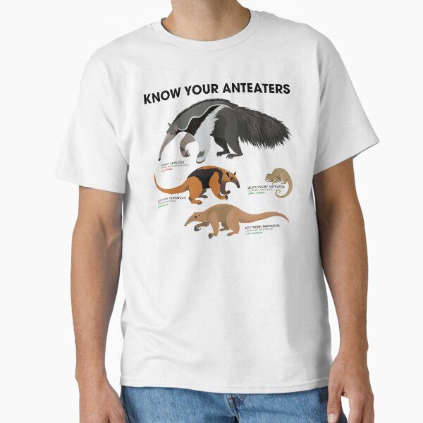 Know Your Anteaters