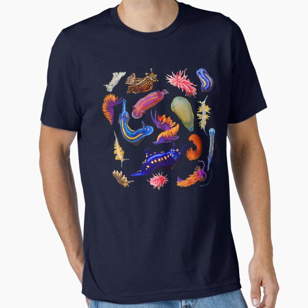 Nudibranchia