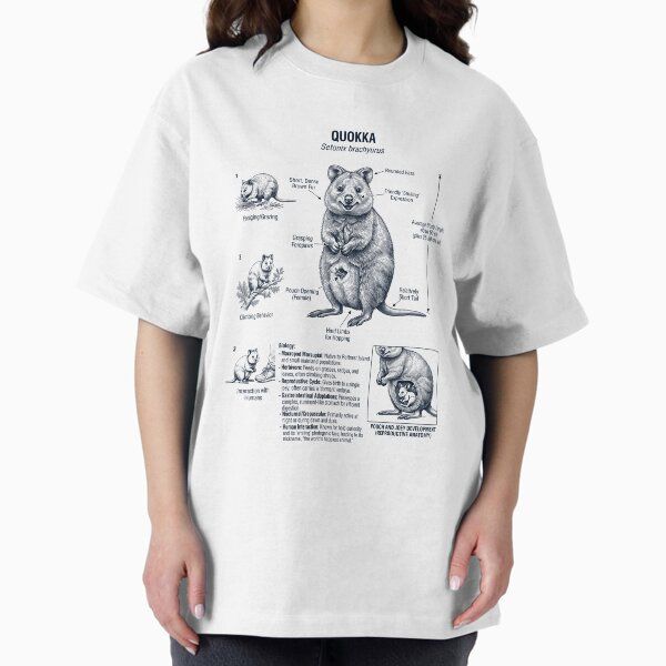 Quokka Scientific Anatomy Biology Animal Lover